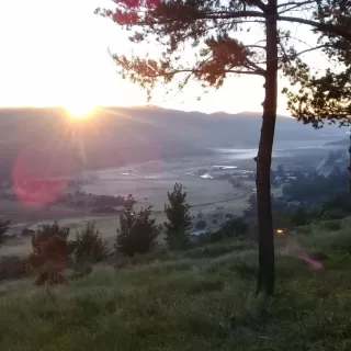 The View